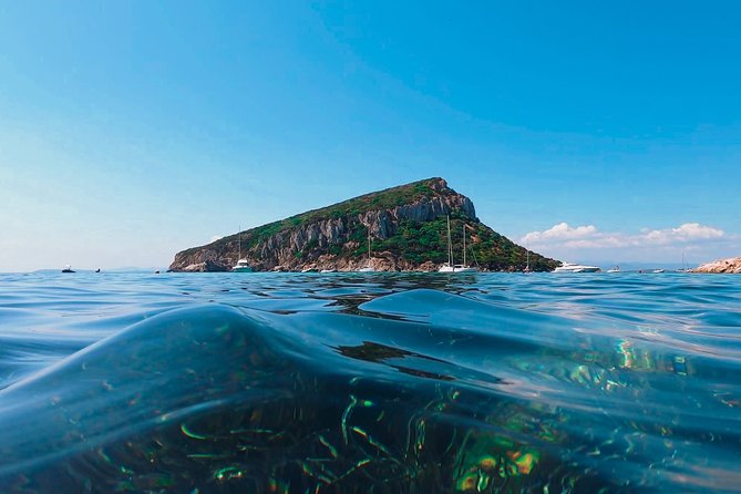 Kayak tour with aperitif and dolphins - Who Will Enjoy This Tour Most?