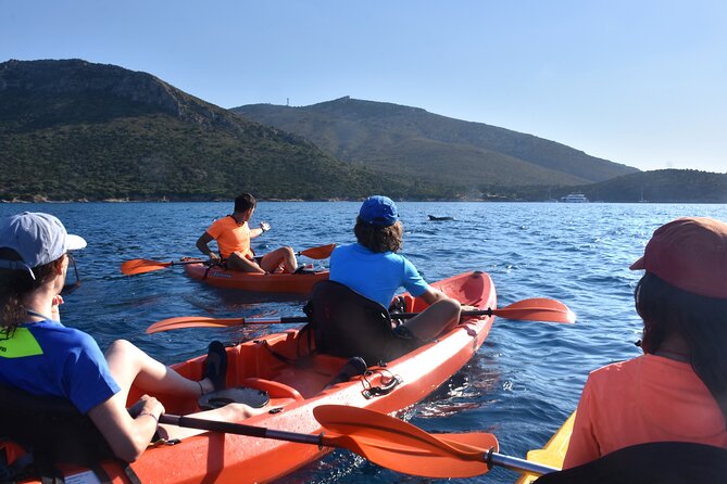 Kayak tour with aperitif and dolphins - Paddling Along Cala Moresca