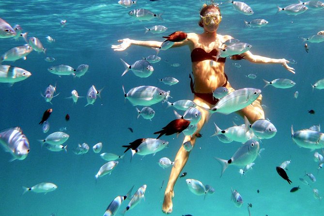 Kayak Tour with Snorkeling and Local Aperitif - Starting at Cala Suaraccia at 10 a.m.