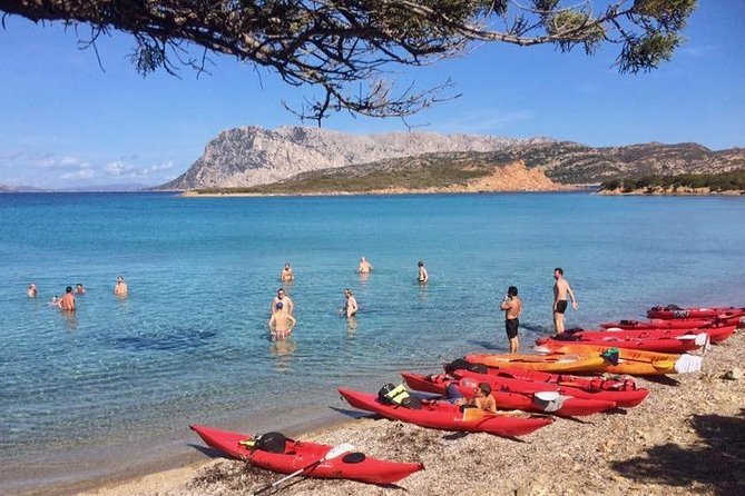 Kayak Tour with Snorkeling and Local Aperitif - Is $66.54 a fair price?