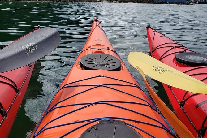Kayak Tours - Key Points Before You Book