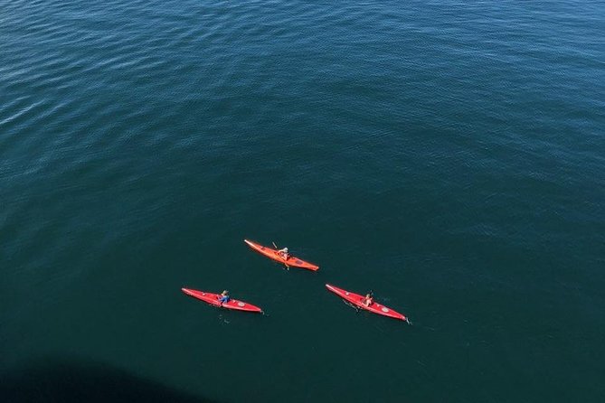 Kayak Tours - What the Guides Add