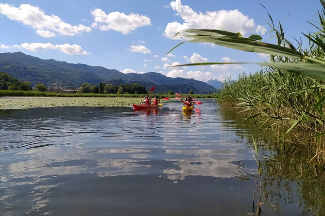 Kayak trip on Adda River North Park - Reeds, wildlife, and a closer view of the Adda