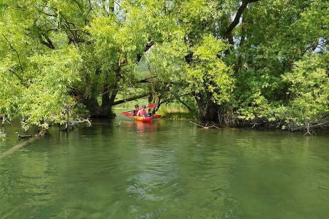 Kayak trip on Adda River North Park - The planned break and river swim