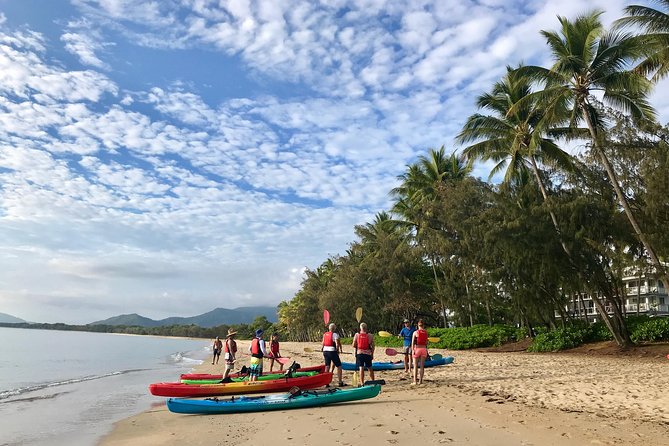 Kayak Turtle Tour from Palm Cove - Mangroves, Shallows, and the Limestone Cave