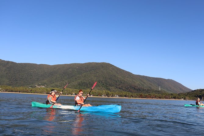 Kayak Turtle Tour from Palm Cove - The Return Paddle and the Value of a Half-Day Trip