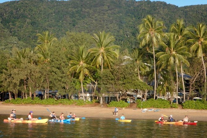 Kayak Turtle Tour from Palm Cove - Who Should Book This Palm Cove Tour?