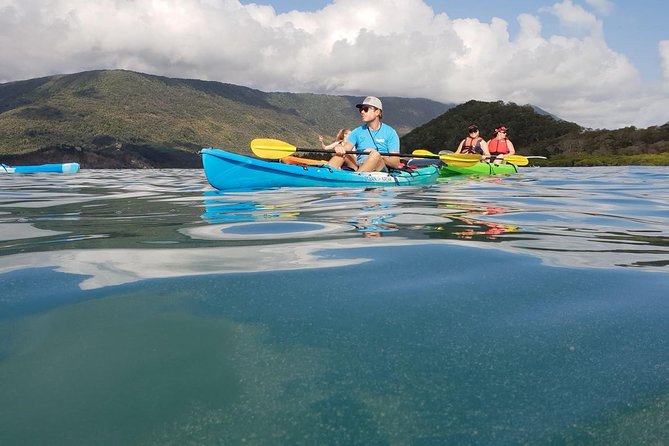 Kayak Turtle Tour from Palm Cove - The Turtle Stop Around Double Island
