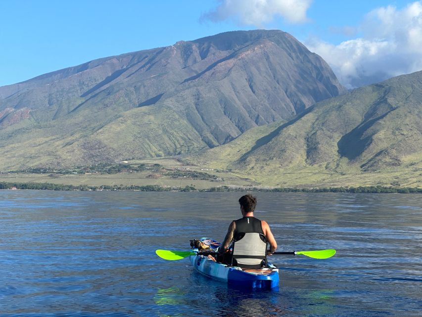 Kayak, Whale Watch And Snorkel At Turtle Town - Snorkeling near Turtle Town