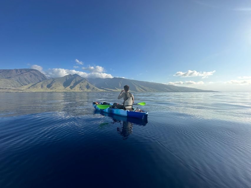 Kayak, Whale Watch And Snorkel At Turtle Town - Equipment, comfort, and what to bring