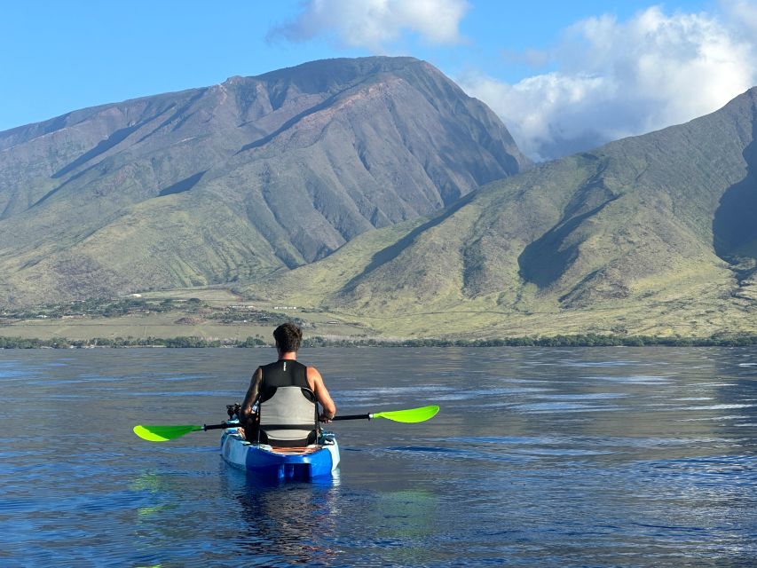 Kayak, Whale Watch And Snorkel At Turtle Town - Is $109 a fair price?