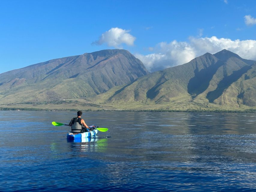 Kayak, Whale Watch And Snorkel At Turtle Town - Paddling above Olowalu’s old reef
