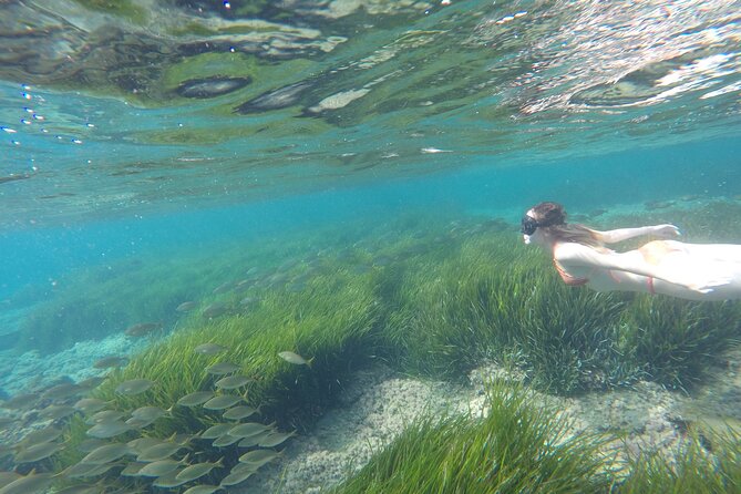 Kayak y snorkell por las mejores calas del Parque Natural Cabo de Gata - Why the first kayaking lesson matters