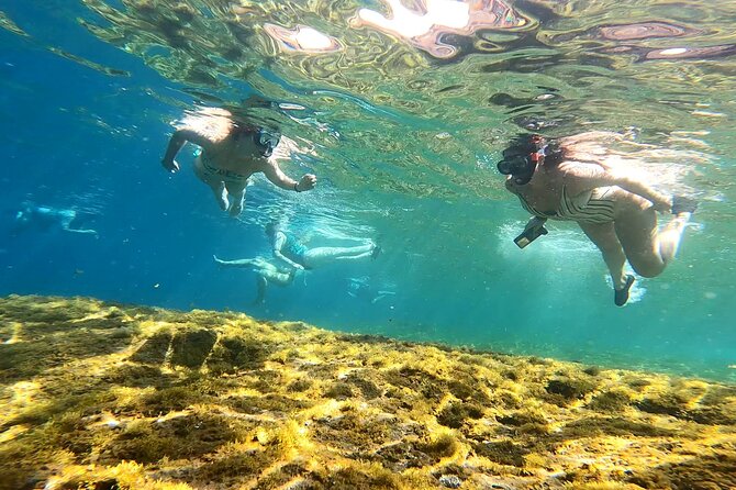 Kayaking Adventure Route with Snorkeling in Mogan Caves - Is $62.91 a fair price?