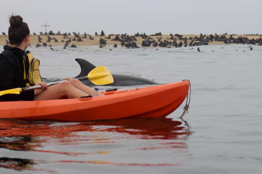 Kayaking and Sandwich Harbour Combo Tour - An early start along Walvis Bay Lagoon