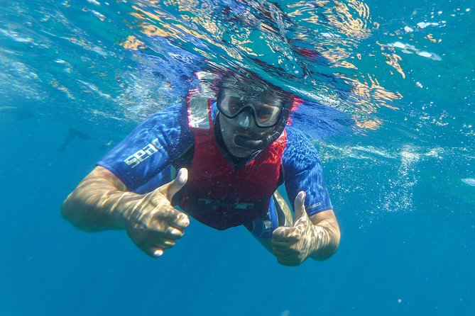 Kayaking and snorkeling - Starting in La Lajita with a short but useful briefing