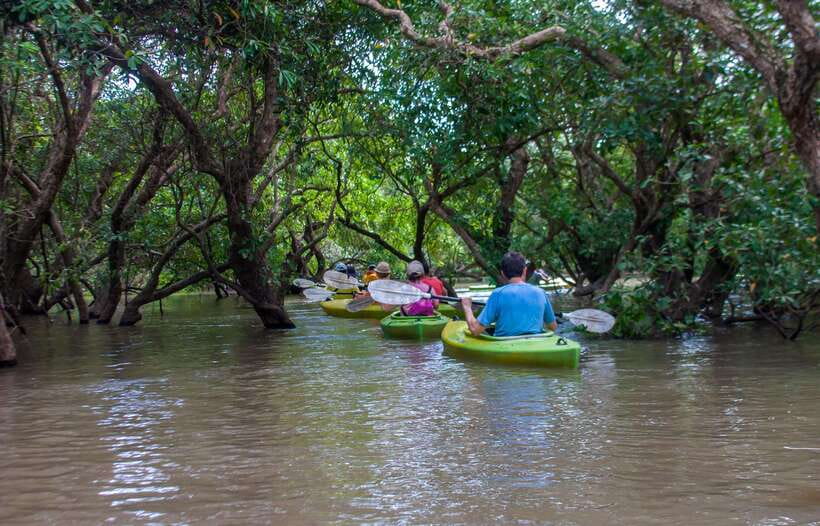 Kayaking & Floating Village in Siem Reap - Seeing Mechrey from a fiberglass kayak