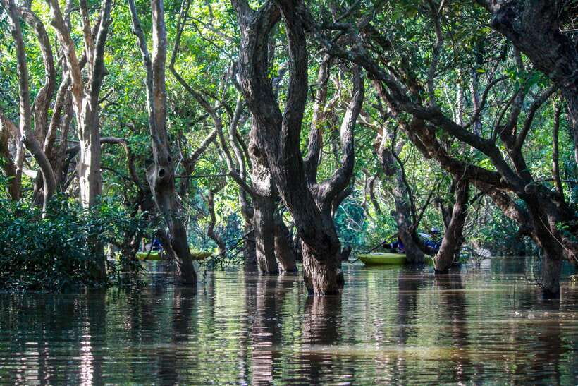 Kayaking & Floating Village in Siem Reap - Is $88 a fair price?