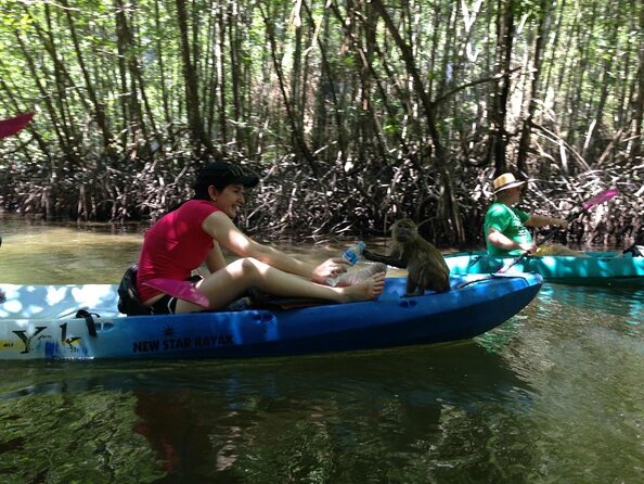 Kayaking in Ao Thalane - Discover the Mangrove life - Key points to know before booking