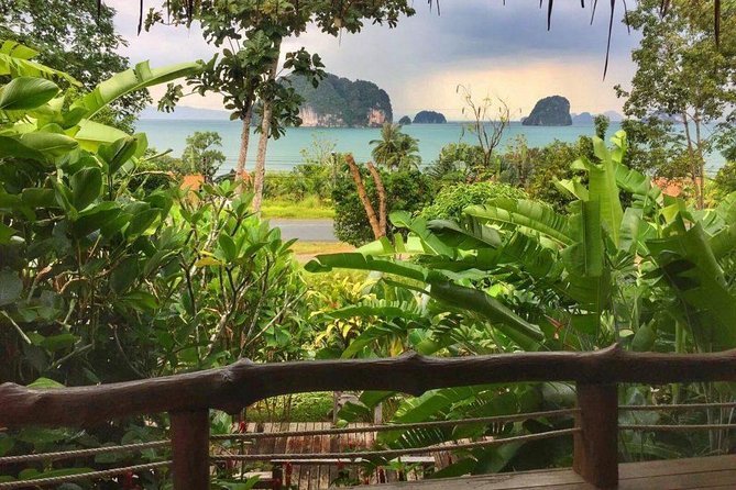 Kayaking in Ao Thalane - Discover the Mangrove life - Lunch at Khaotong Restaurant