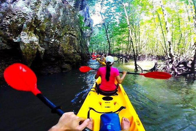 Kayaking in Ao Thalane - Discover the Mangrove life - Is $194.69 per person good value?