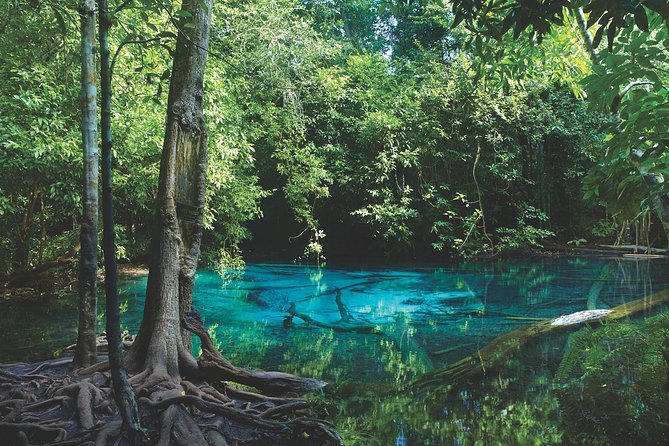 Kayaking in Ao Thalane - Discover the Mangrove life - The two-hour paddle through Ao Thalane