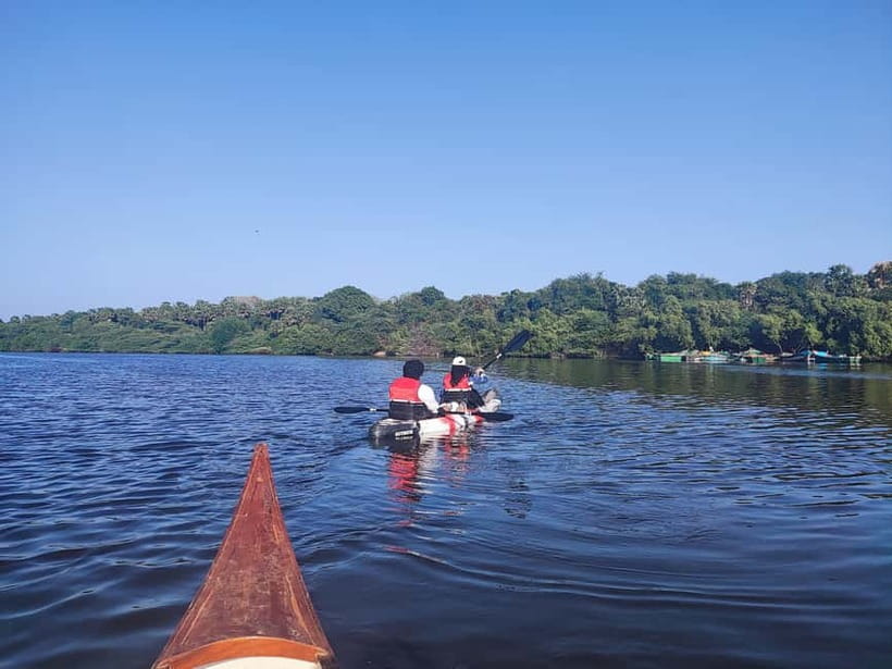 Kayaking in Backwaters of Pondicherry - Key points to know before paddling