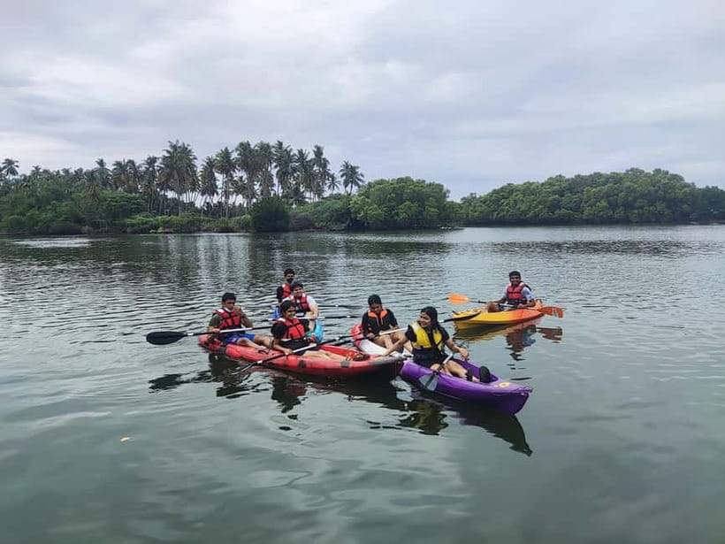 Kayaking in Backwaters of Pondicherry - Quiet lagoons, leafy banks, and small discoveries