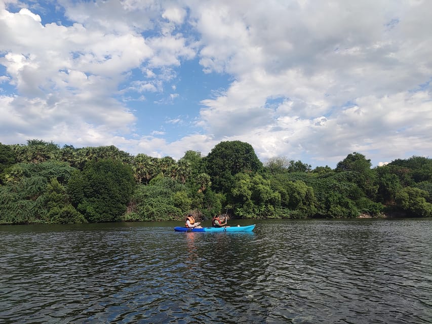 Kayaking in Backwaters of Pondicherry - Is $10 good value?