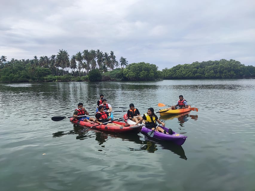 Kayaking in Backwaters of Pondicherry - How the hour unfolds