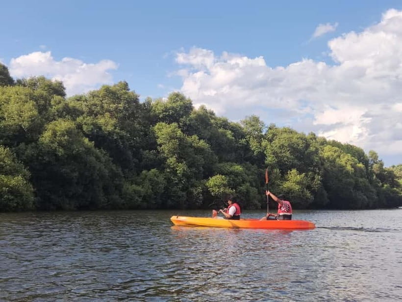 Kayaking in Backwaters of Pondicherry - My final take: book it if you want calm, not thrills