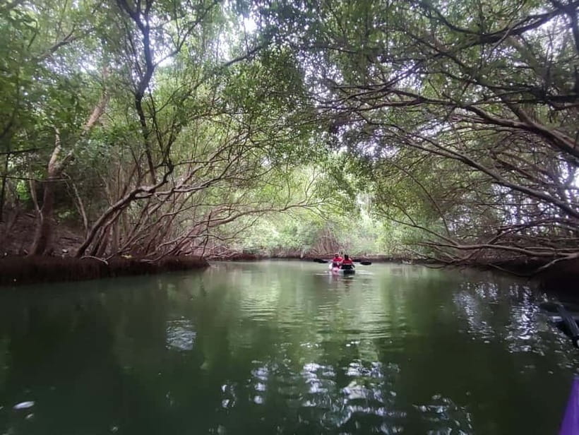 Kayaking in Backwaters of Pondicherry - Paddling the Ariyankuppam River