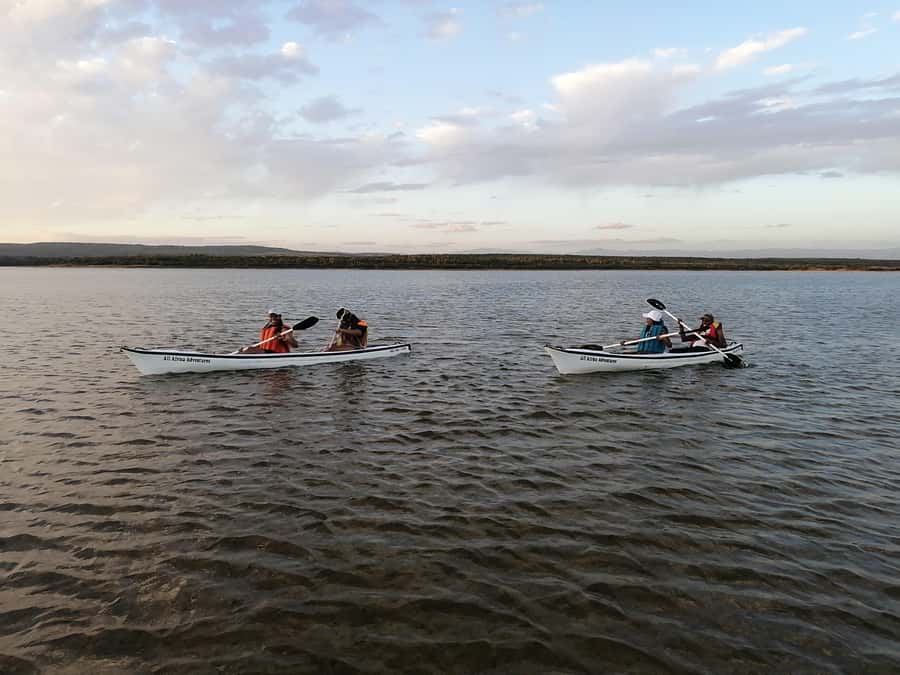 Kayaking Jeffreys Bay - Wildlife and Nature Reserve Views
