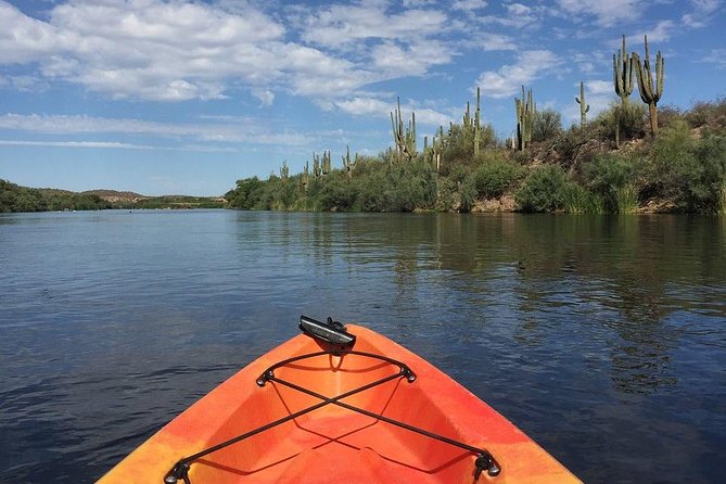 Kayaking the Salt River Foxtail Trip - Key points before you book