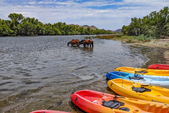 Kayaking the Salt River Foxtail Trip - Why the unguided format works