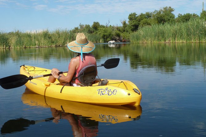 Kayaking the Salt River Foxtail Trip - Launching onto the Lower Salt River