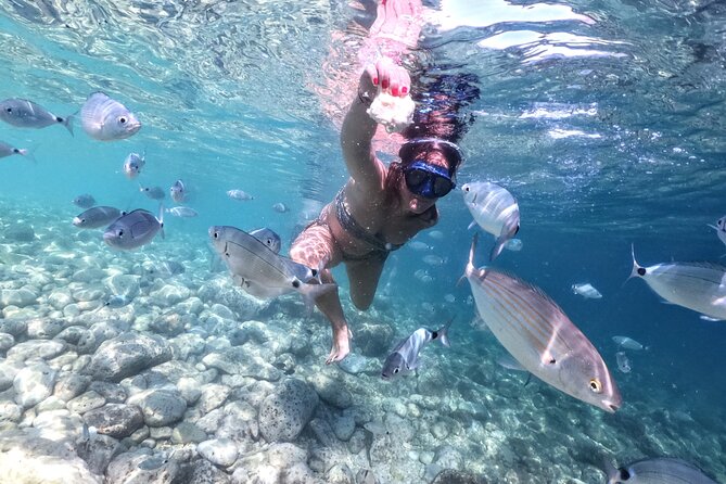 Kayaking to Island Saint Jerolim with snorkeling activitie - What the $77.11 price gets you