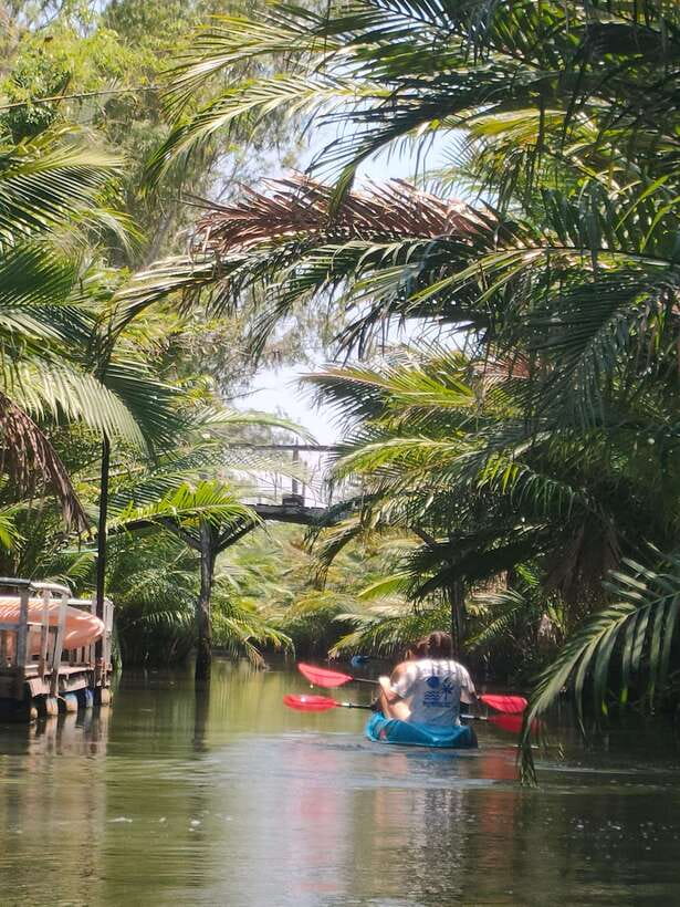 Kayaking tour around green cathedral - Who should book this experience