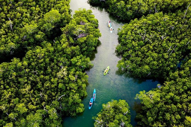 Kayaking Tour in Cancun - What the small group changes