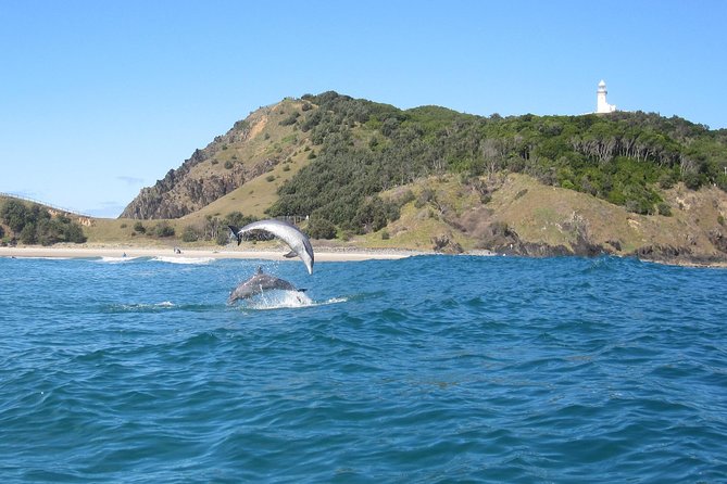 Kayaking with Dolphins in Byron Bay Guided Tour - From Lawson Street to Cape Byron Marine Park