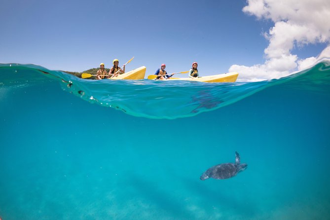 Kayaking with Dolphins in Byron Bay Guided Tour - A beach stop with hot drinks and Tim-Tams