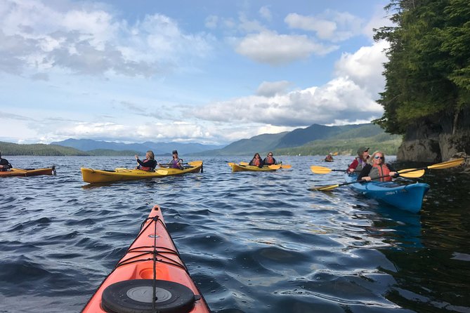 Ketchikan Kayak Eco-Tour - The wildlife moments that can define the day