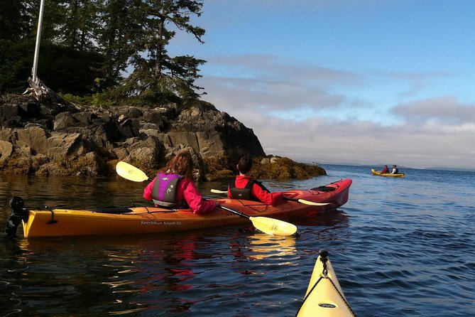 Ketchikan Kayak Eco-Tour - The guides make the small group useful