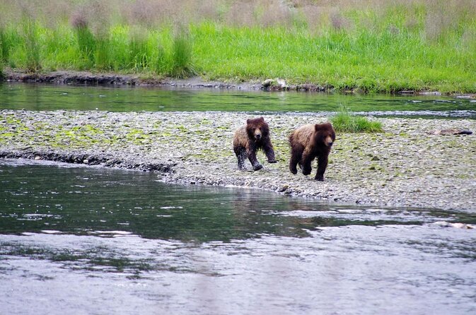Ketchikan Shore Excursion: Eagle Island Sea Kayaking - Key Points to Know Before You Book
