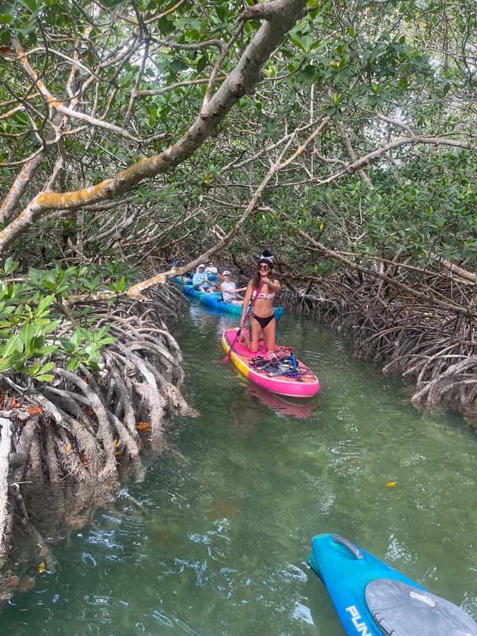 Key West: 2-hour Mangrove Kayak Tour - Key points to know before booking