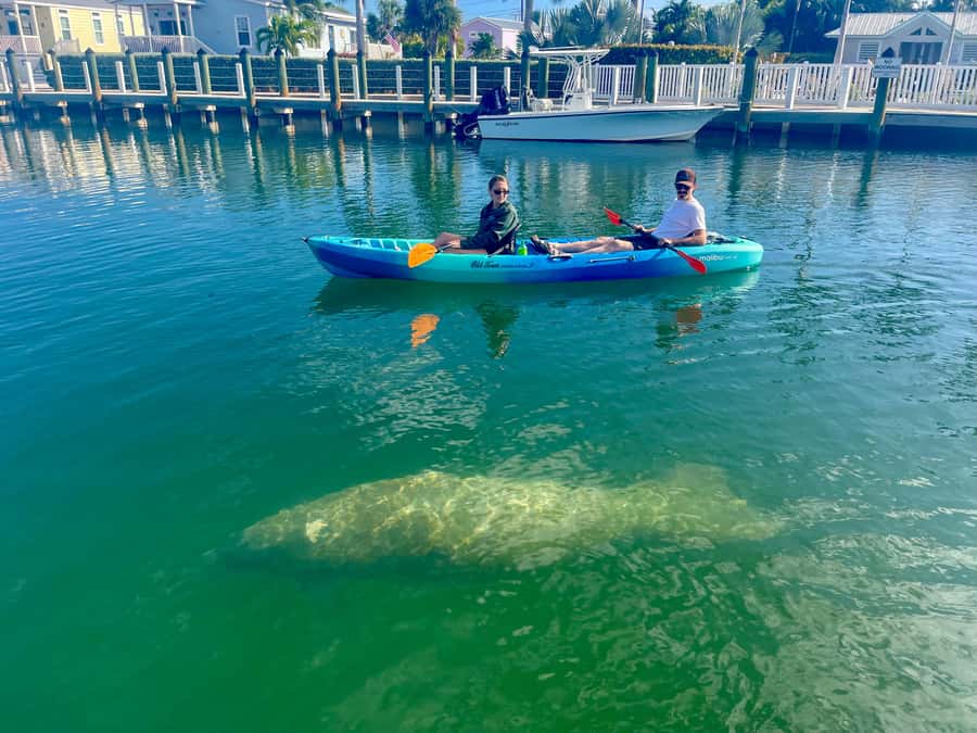 Key West: 2-hour Mangrove Kayak Tour - Starting at Cow Key Marina