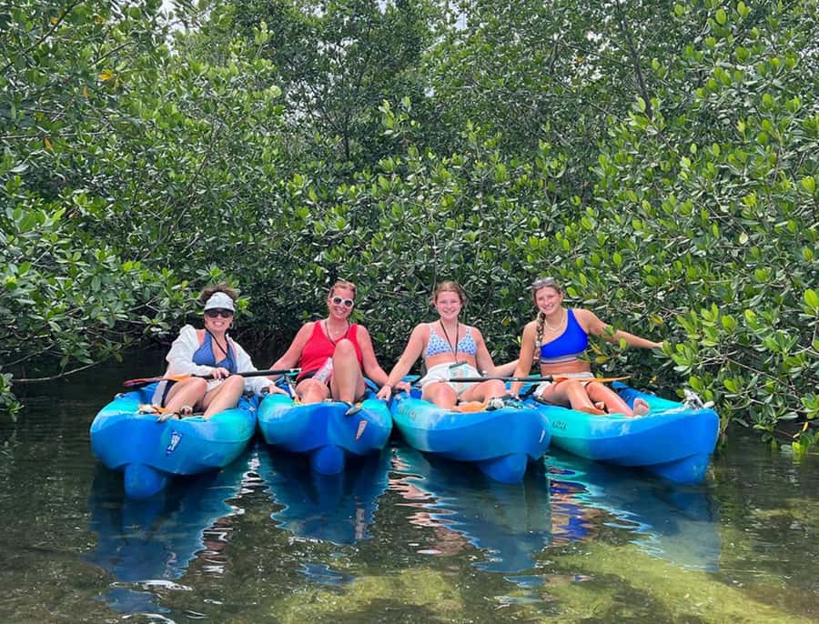 Key West: 2-hour Mangrove Kayak Tour - Paddling into the mangrove tunnels