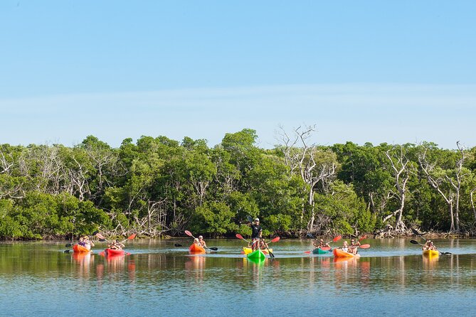Key West Full-Day Ocean Adventure: Kayak, Snorkel, Sail - Kayaking through the mangroves