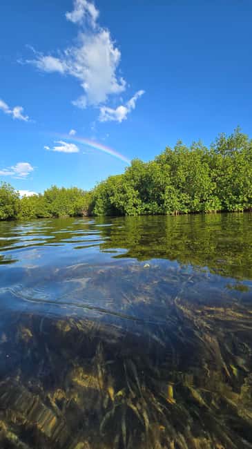 Key West: Kayak or Paddleboard Rental - Why Geiger Key is a better setting than open-water paddling