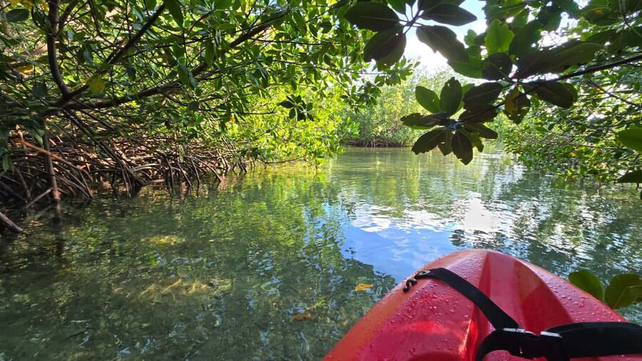 Key West: Kayak or Paddleboard Rental - Staying comfortable in the Florida sun